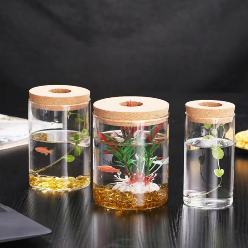 Eco-Bottle Hydroponic Glass Vase for Water Culture Micro-Landscape