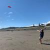 Travel 2.5m Dual Line Parafoil Sailing Outdoor Beach Kite Flying Toys Kite Surfing Stunt Kite