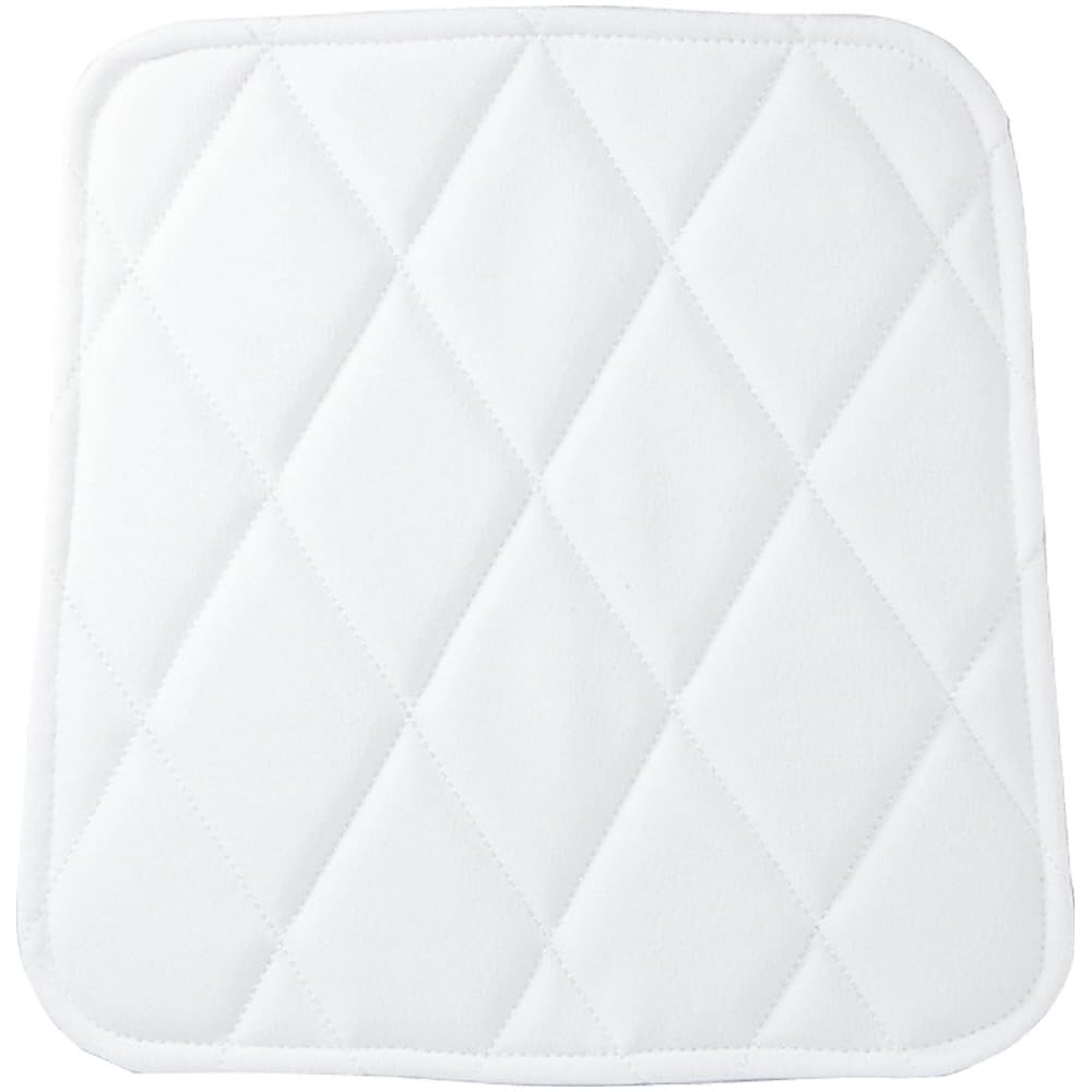 MIZUNO Hip Pad 12JYAP03 White Baseball/Softball (Large)