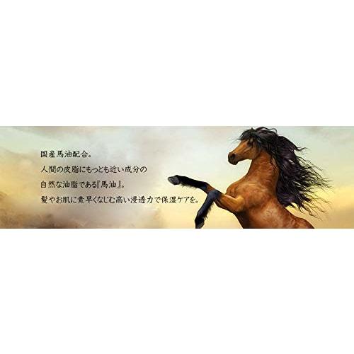 Jun Cosmetic Horse Oil Shampoo 1000ml + Conditioner 1000ml Pair Set