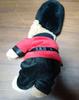 [USED] Harrods Teddy Bear Guardsman In Royal Guards Uniform