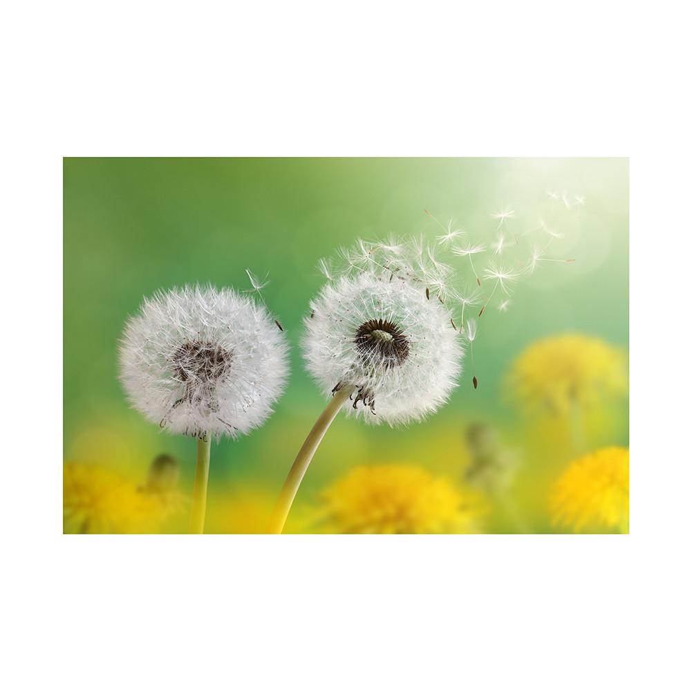 Romantic Dandelion Background Tapestry for Events,Party Banner,Home Decor,Weddings,Photo Booths