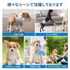 [Unicharm] Dog Diapers Male Wrap Style NEW Urine Detection, High Absorbency (50-count Mega Pack, L) White, Blue