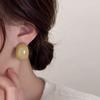 Exquisite Semi-Circle Earrings Acrylic Resin Elegant Ellipse Earrings  Jewelry Accessories