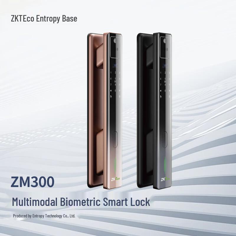 ZKTECO Fingerprint Password Access Control & Time Attendance System CN plug (adapter included)