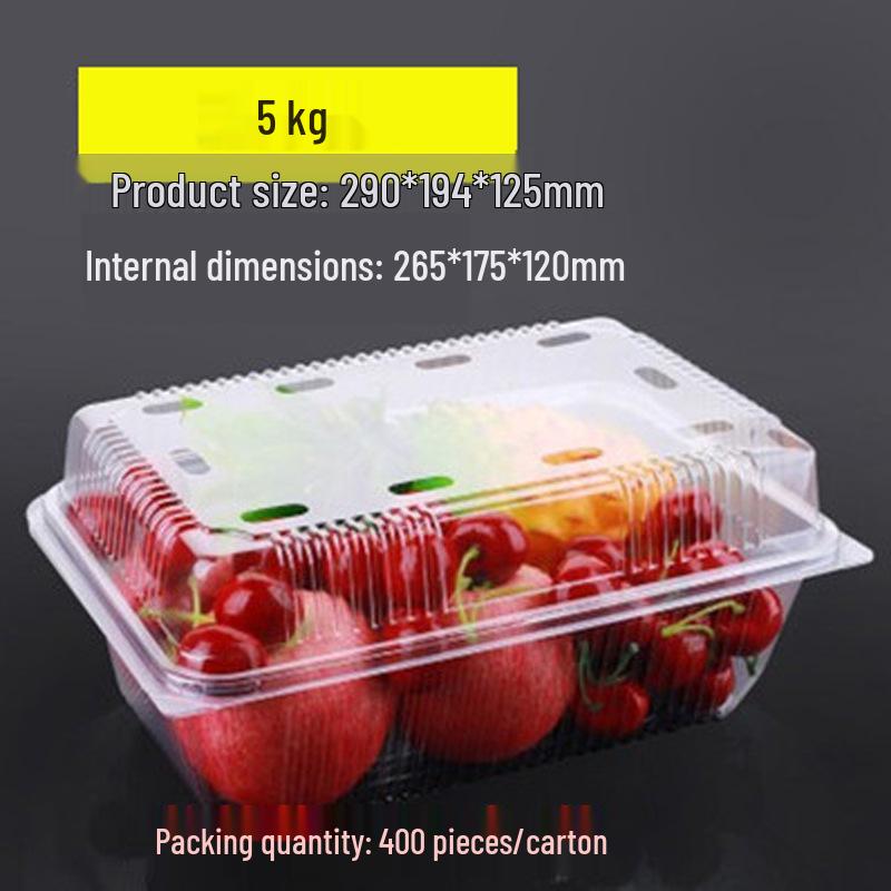 Transparent Disposable Fruit Box with Lid – Food-Grade Plastic, Rectangular, Sturdy for Takeaway, Ideal for Strawberries or Cut Fruit