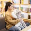 . 1pc 60cm Cute Husky Dog Plush Toy Stuffed Kids Doll Kawaii Animal Gift Soft Sofa Pillow Creative B
