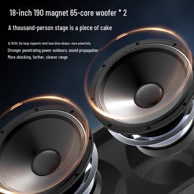 MALONE 8818 High-Power Outdoor Line Array Stage Speaker (CN version)