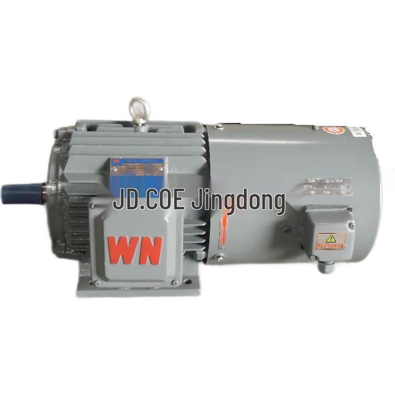 WNM YXVF Series Variable Frequency Motor CN plug (adapter included)