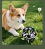 Self-Entertainment Bite-Resistant Dog Toy Ball for Collies, Labradors, Corgis & More