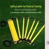Indoor Taekwondo Agility Ladder