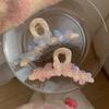Claw Animals Gifts Women Acrylic Hairgrip Butterfly Hair Claw Korean Shark Clip Ponytail Holder
