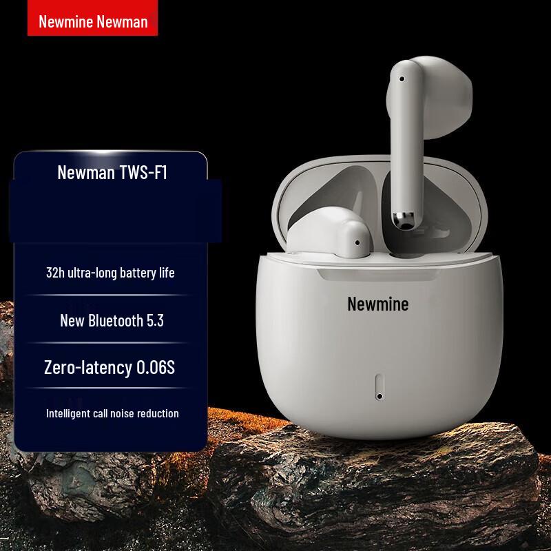 

Newman TWS-F1 True Wireless Bluetooth Earbuds
