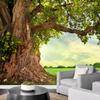 Giant Old Tree Wallpaper Green Grass Sunlight Nature Landscape Wall Mural