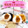 Qingyun Lee Small Animal Plush Guinea Fluffy and Animal Yellow White Toy, Pig, Mouse, Cotton-dyed Rat, Cute, Realistic, Kids, Pet, Doll, Gift, +