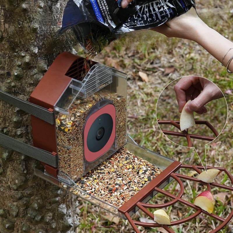 Outdoor Bird Feeder with Camera Automatic Parrot Feeder Drinker Food Container Cage Accessories for Small and Medium Parakeets