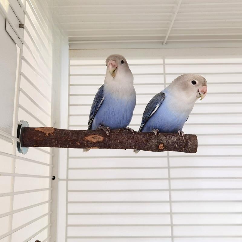 Parrot Supplies, Bird Claw Sticks, Bird Sandblasting Sticks, Apple Wood Non-Sichuan Pepper Wood Standing Poles, Bird Cage Standing Poles