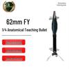 62mm FY Quarter Dissection Training Projectile Model