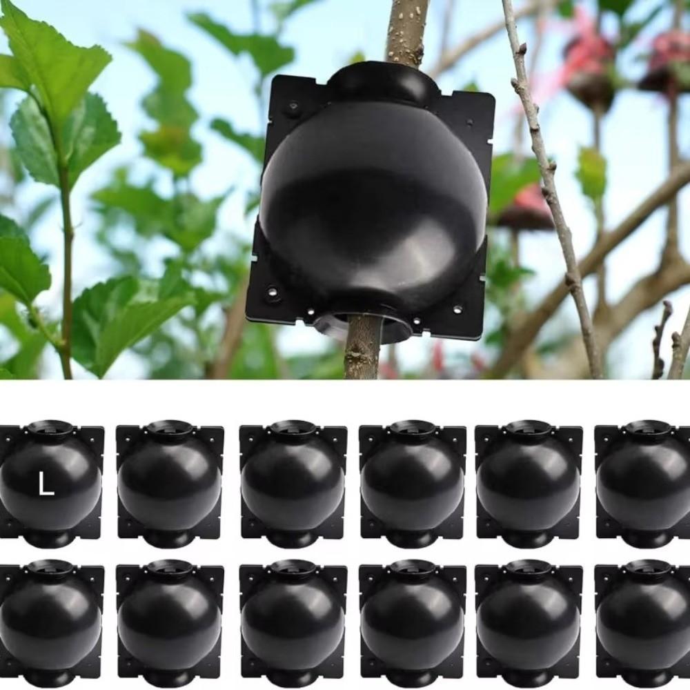 3Pcs Fast Propagation Grafting Rooting Box Plastic Plant Root Growing Box  Garden Planting