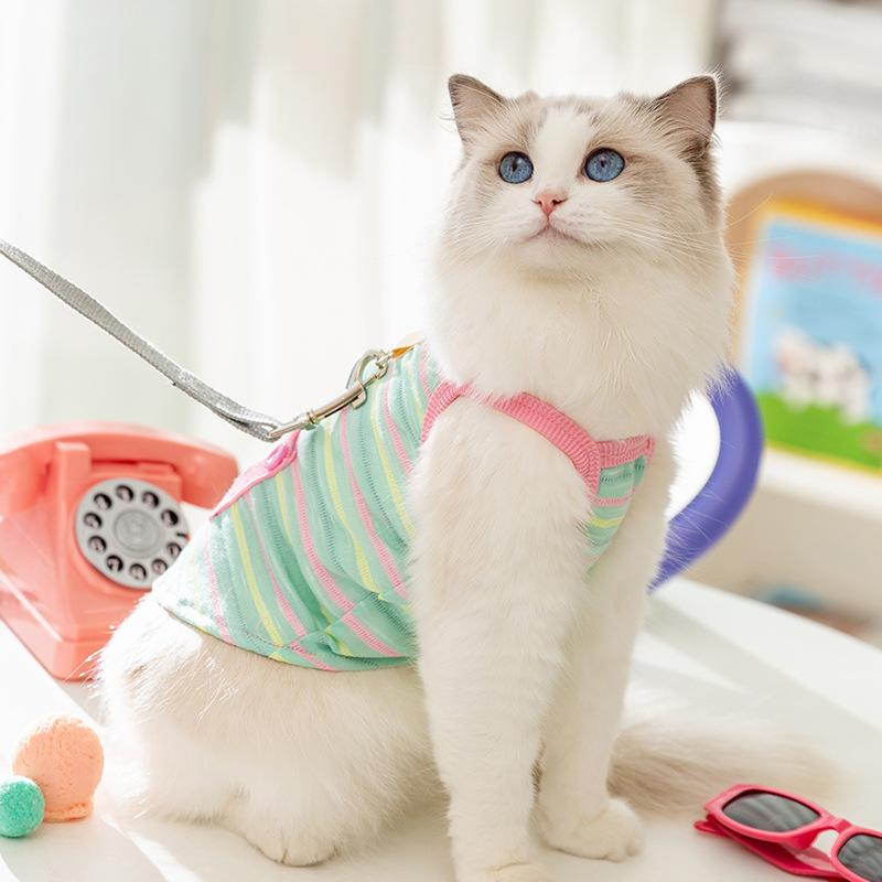 Summer Dog Contrast Cute Puppy Pocket Colored Striped Traction Suspender Cat Two-legged Pet Teddy Clothes