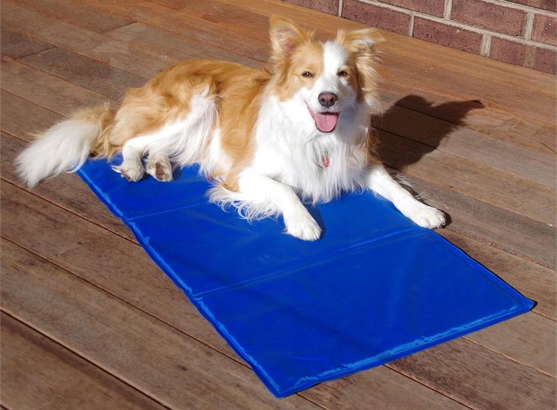Cooling mat for dog, cat, rabbit, car seat, bed, 40x50cm PetJet