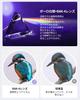 Optical 20x Magnification Binoculars for Live and and Weighing Just Features Bak4 Adjustable FMC and Image Stabilization for Reduced Motion Ideal for