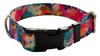 Dog Collar 2 Cm with Buckle Adjustable StreetArt Fasten Dog Collar 2 Cm with Buckle Adjustable StreetArt Fasten XL: 50-75cm