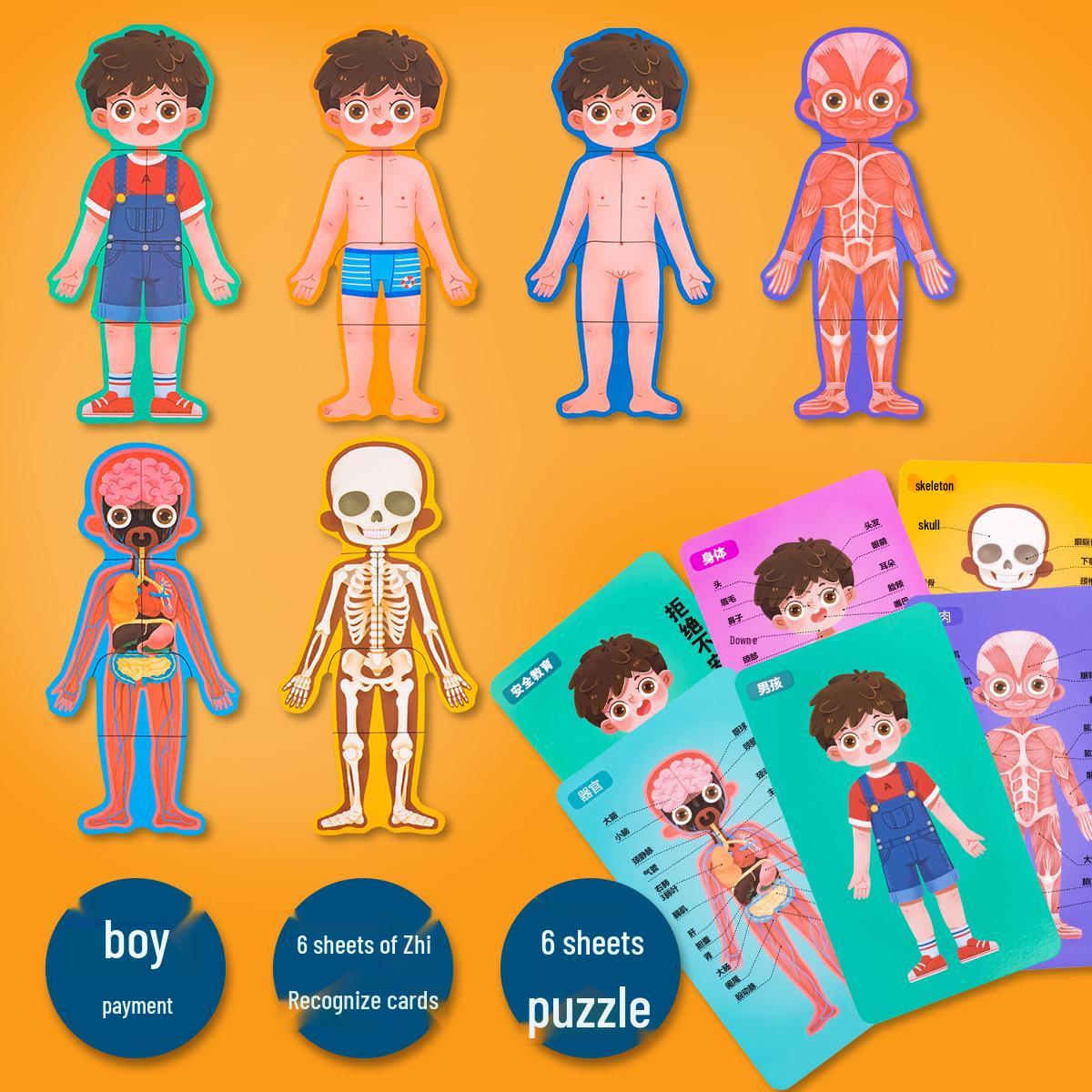 Human Body Cognitive Puzzle SD0.4: Wooden Educational Toy for Kids