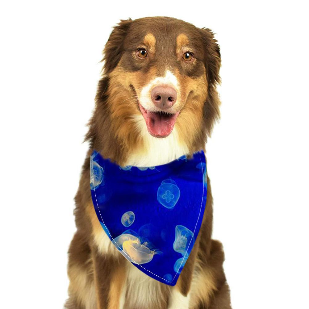 dog with neckerchief