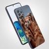 Animal Camel Phone Case for Samsung Galaxy A55 A35 A15 A14 A13 A25 A54 A51 A71 A72 A73 A32 A52 A41 5G Soft TPU Shell Fundas Bags