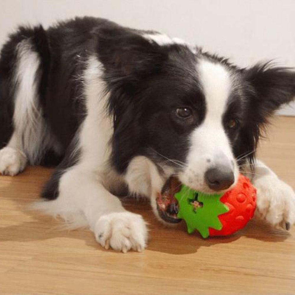 Interactive Dog Food Leaking Ball Tooth Cleaning Dog Grinding Teeth Toy  for Dog Training