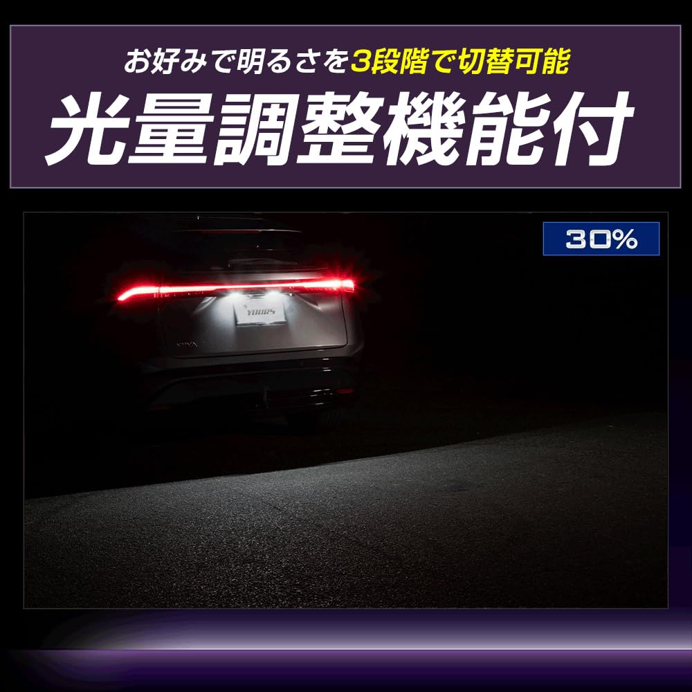 YOURS Aria LED License Plate Custom Vehicle Inspection Custom Parts Nissan M Light, Design, Compliant, & Accessories, y607-057 [2]