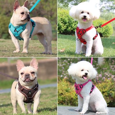 Köpek Tasması Yavru Kedi Çekmeyen Nefes Alabilen File Yansıtıcı Eyer Küçük Orta Köpekler Kediler İçin Ayarlanabilir Tasma Pug Evcil Hayvan Malzemeleri