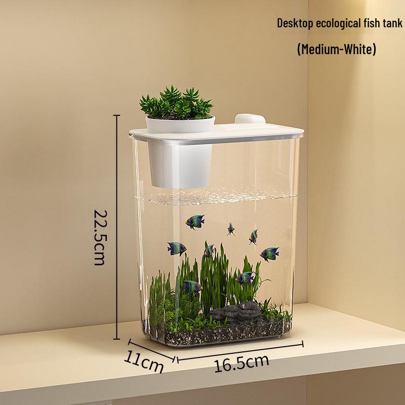 Ultra-Clear Acrylic Fish Tank 2026: Compact Living Room Aquarium with Durable Filter