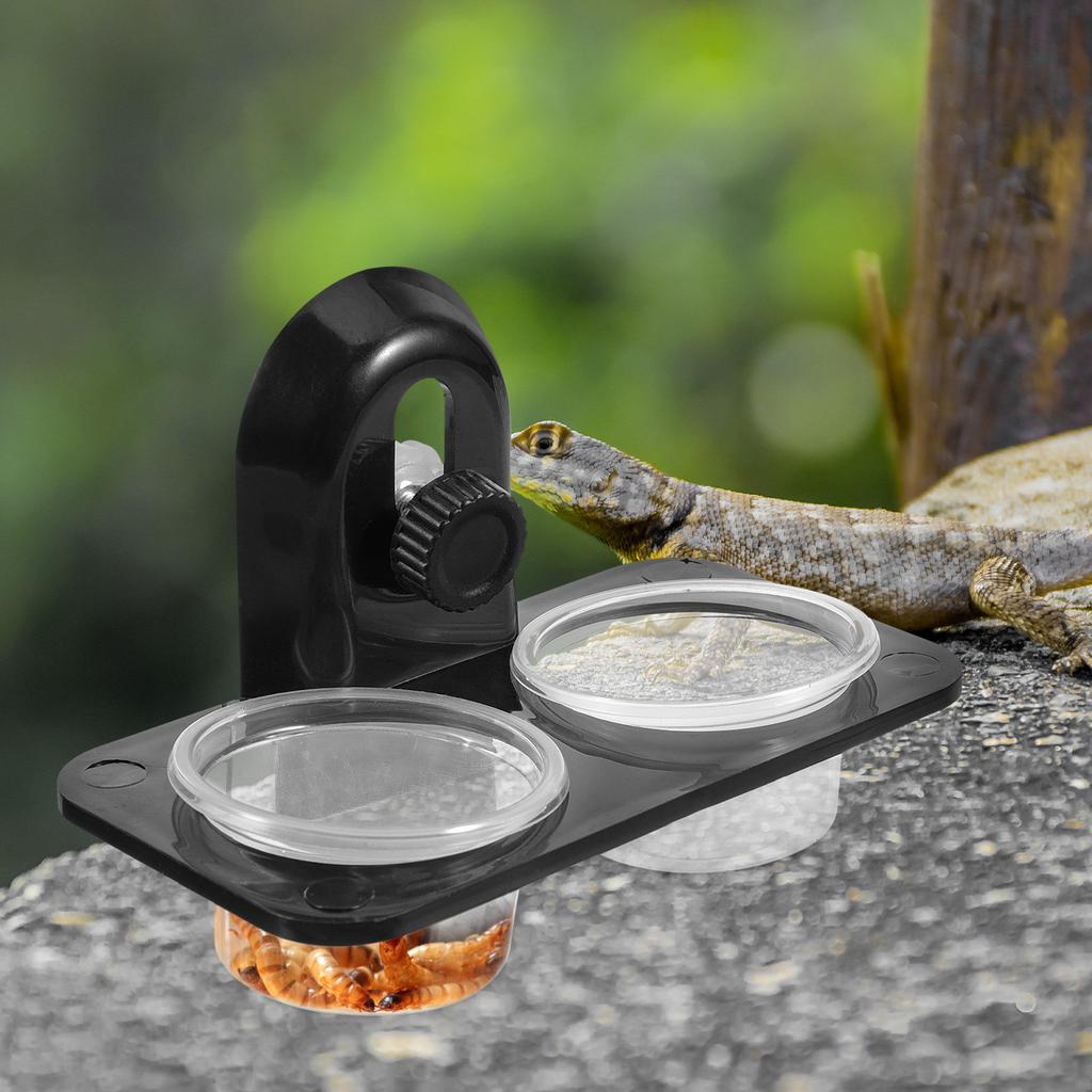 Reptile Feeder Bowl Screw Type Stable Food Container for Lizard Turtle Gecko Scorpion Centipede Feeding Supplies