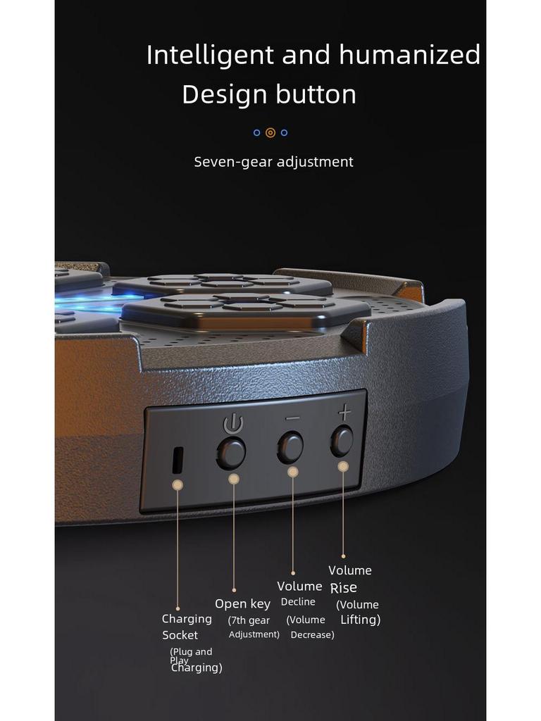 Bluetooth Smart Music Boxing Wall Target for Home Training