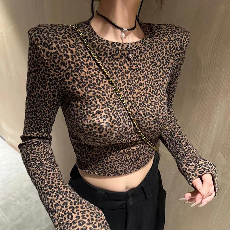 

New Autumn/Winter Leopard Print Long Sleeve Fitted Waist Top for Women X-Large