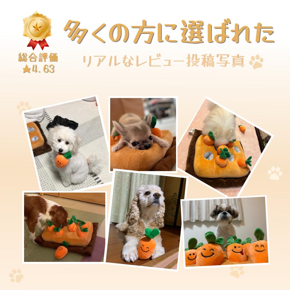 358 Consecutive First Place98 Satisfactiongenuine Product Pet Toy Dog Carrot Field 2nd Generation Nose Work Educational Gift Supplies Mat Chew Stress