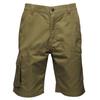 Regatta Mens Heroic Cargo Shorts