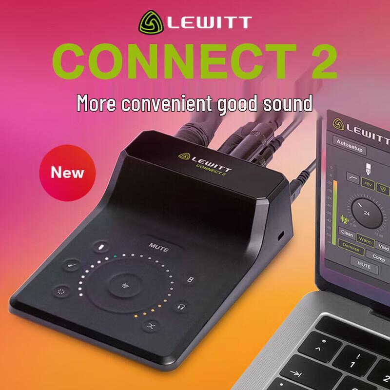 LEWITT CONNECT 2 Audio Interface