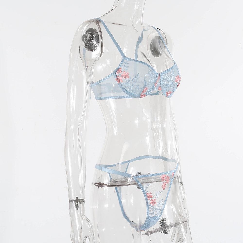 New September European & American Sexy Mesh Transparent Printed Lingerie Set - Two-Piece