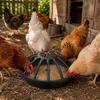 12 Holes Poultry Feeder 28cm Poultry Feeding Equipment Durable Chicken Feeder for Coop