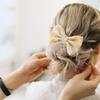 Bowtie Hair Bows Hair Clip Ribbon Elegant Bows Hair Clip Hair Bows for Women, Bowtie Hair Bows