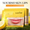 Maschera Labbra Idratante al Limone, Maschera Labbra Idratante Autunnale e Invernale Anti-Secchezza e Screpolature