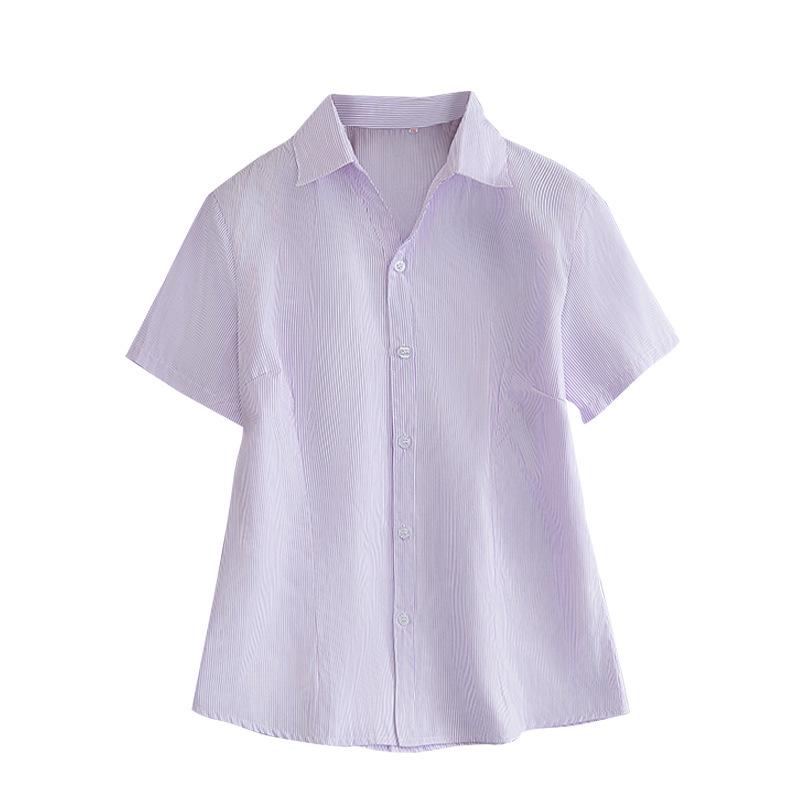 Women's Plus Size V-Neck Purple & White Striped Short-Sleeve Shirt - Slimming, Professional, Formal, Extra Large, Spring/Summer