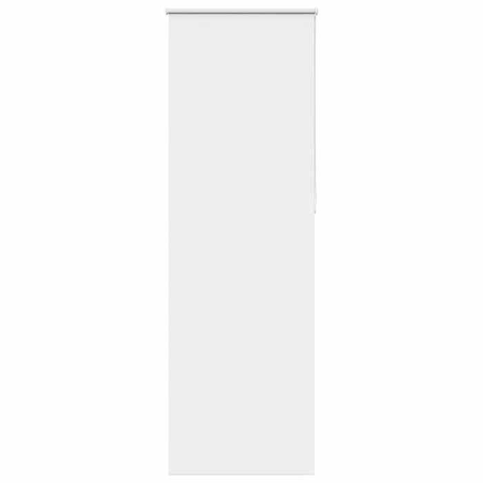 VidaXL Blackout Roller Blind Fabric Width 70.7 Cm Polyester, Day and Night Blind, Kitchen Blind, Blind 4011981