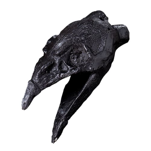 Small Death Whistle - Realistic Screaming Aztec Death Whistle | Crow Mouth Design Whistle, Prank Halloween Ornament, Authentic Aztec War Whistle, Coll