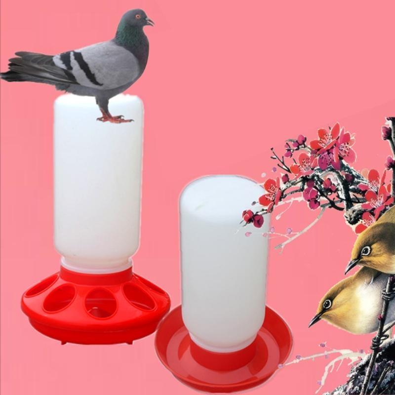 Chick Feeder and Waterer Combo Birds Poultry Feeding Equipment Tool
