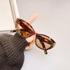 Cat Eye Shape Men'S Designer Sunglasses Korean Fashion Anti-Glare Sunglass For Women Holiday Travelling Female Sunglass