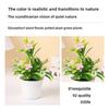 Mångfärgad Praktvinda Konstgjorda Krukväxter Fotorekvisita Plast Simulationsblomma i Kruka Elegant Naturlig Konstgjord Bonsai Gåva
